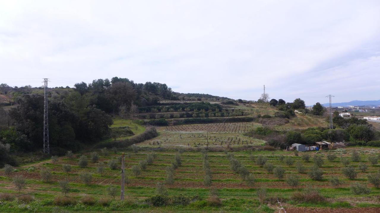 Agroturisme Cal Jeroni Avinyonet del Penedes Exteriér fotografie