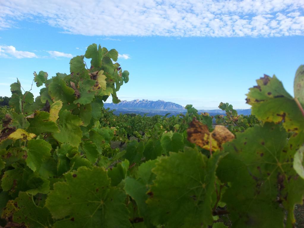 Agroturisme Cal Jeroni Avinyonet del Penedes Exteriér fotografie